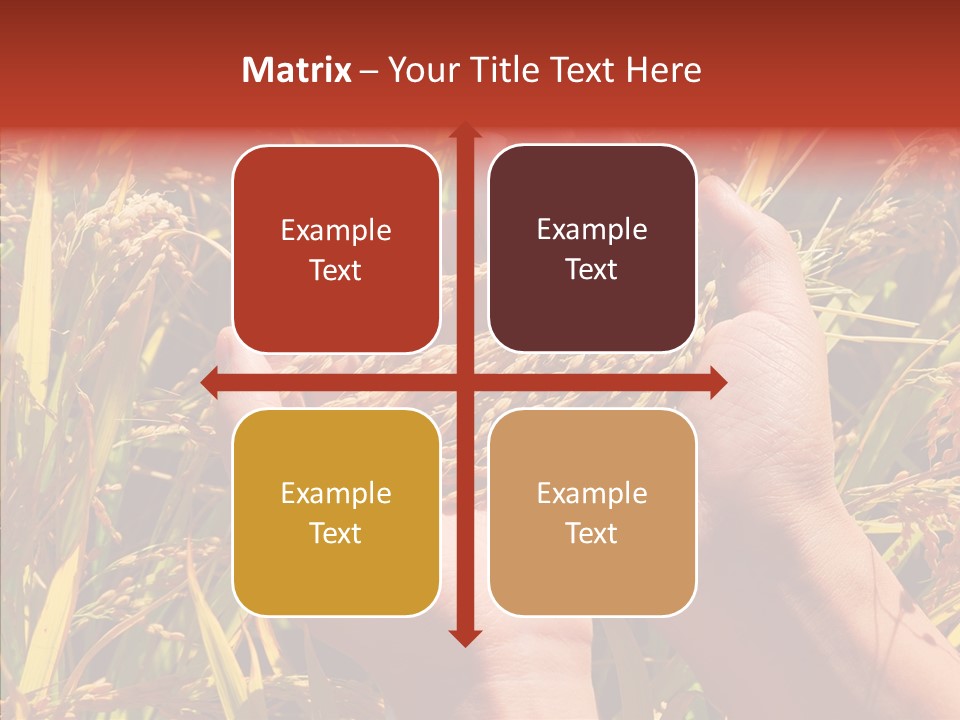 Agriculture Staple Harvest PowerPoint Template