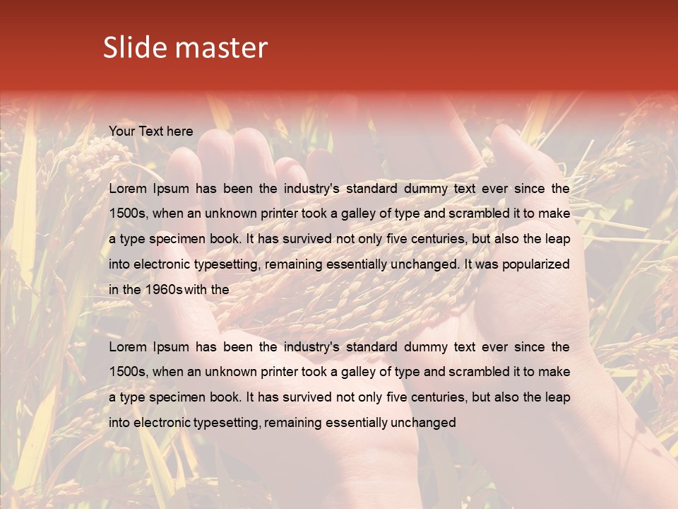 Agriculture Staple Harvest PowerPoint Template