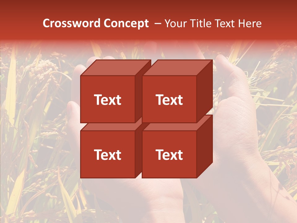 Agriculture Staple Harvest PowerPoint Template