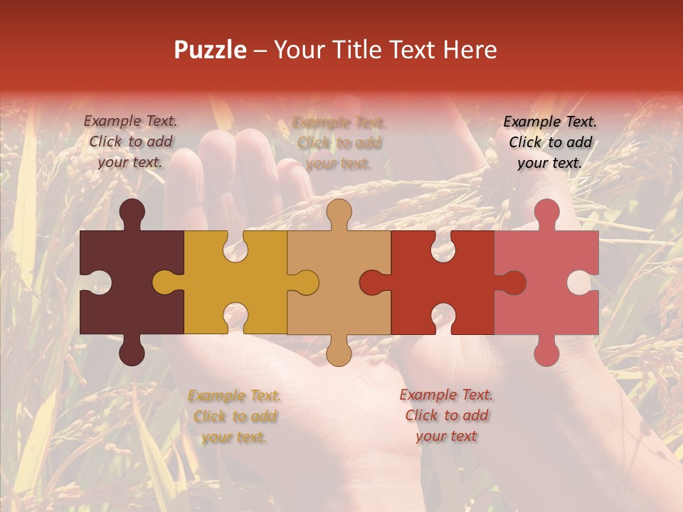 Agriculture Staple Harvest PowerPoint Template