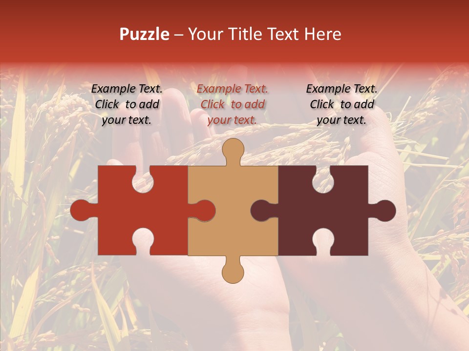 Agriculture Staple Harvest PowerPoint Template