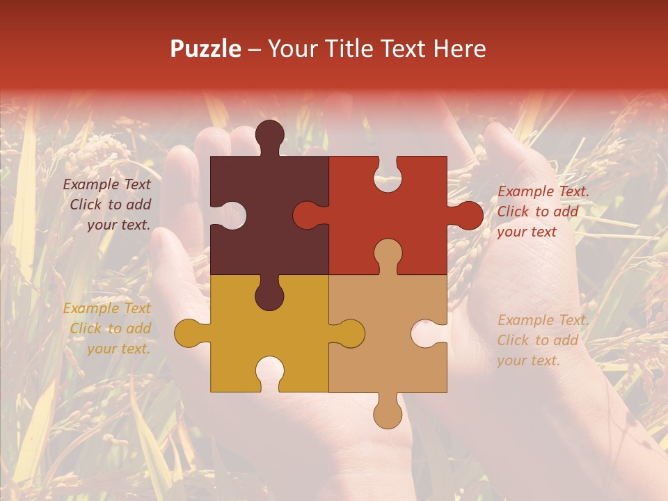 Agriculture Staple Harvest PowerPoint Template