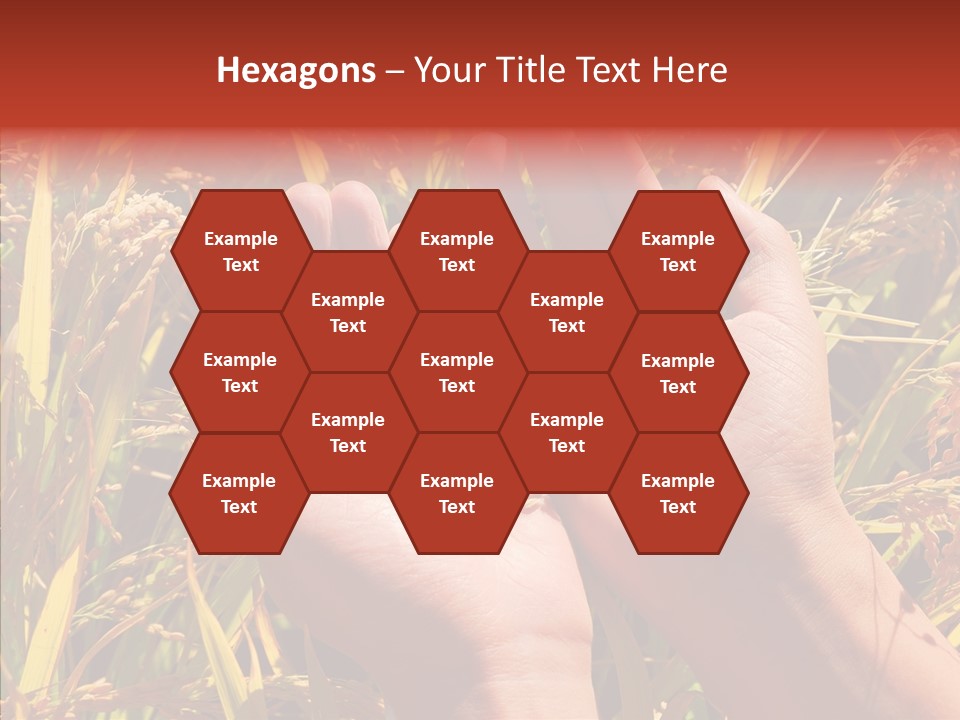 Agriculture Staple Harvest PowerPoint Template