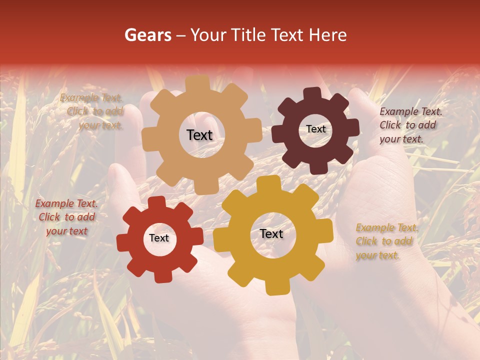 Agriculture Staple Harvest PowerPoint Template