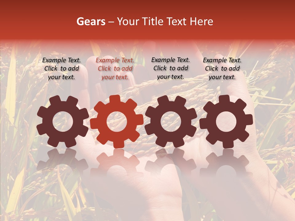 Agriculture Staple Harvest PowerPoint Template