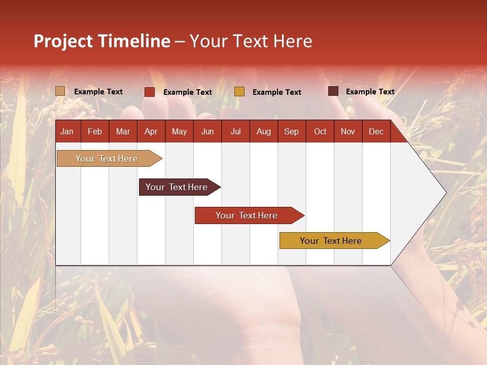 Agriculture Staple Harvest PowerPoint Template