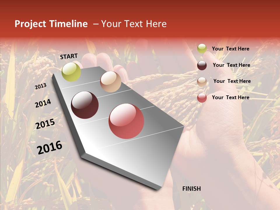 Agriculture Staple Harvest PowerPoint Template