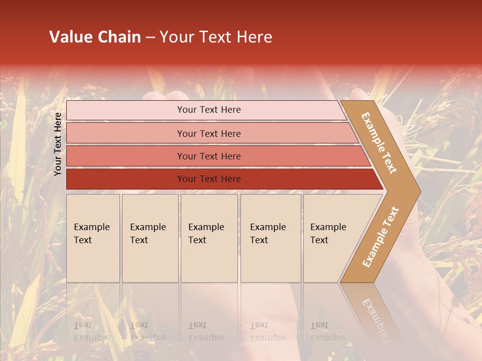 Agriculture Staple Harvest PowerPoint Template