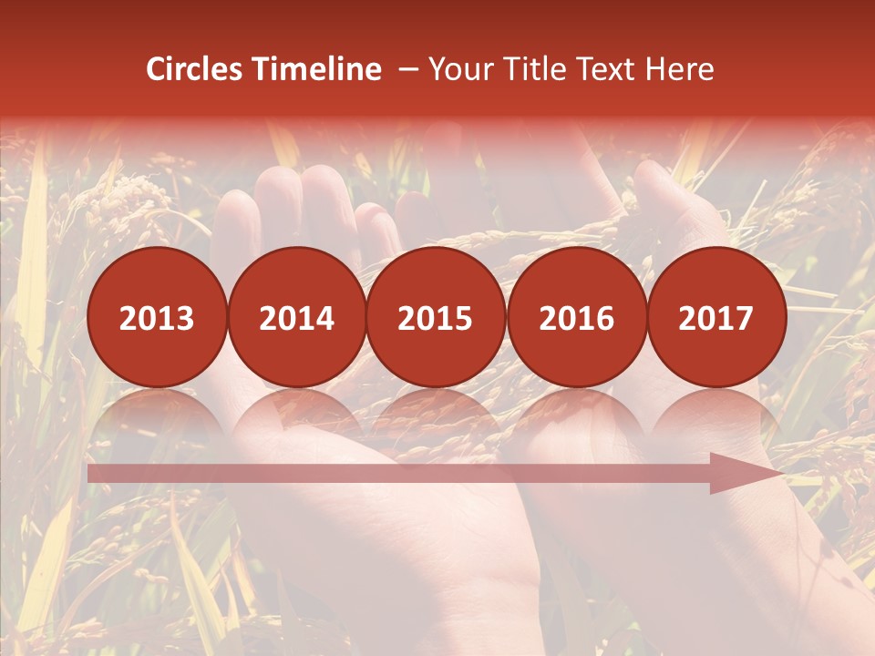 Agriculture Staple Harvest PowerPoint Template