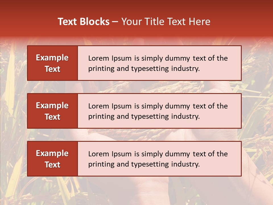 Agriculture Staple Harvest PowerPoint Template