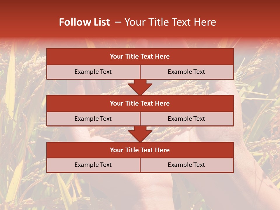 Agriculture Staple Harvest PowerPoint Template