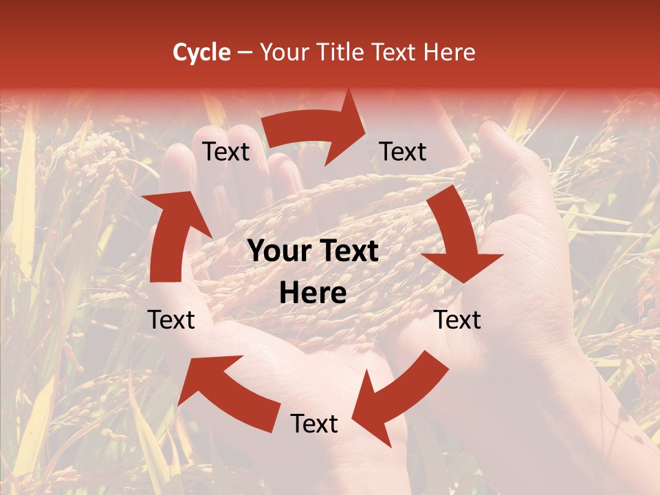 Agriculture Staple Harvest PowerPoint Template