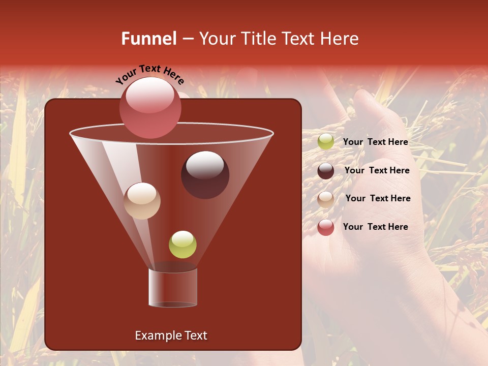 Agriculture Staple Harvest PowerPoint Template