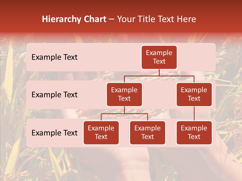 Agriculture Staple Harvest PowerPoint Template