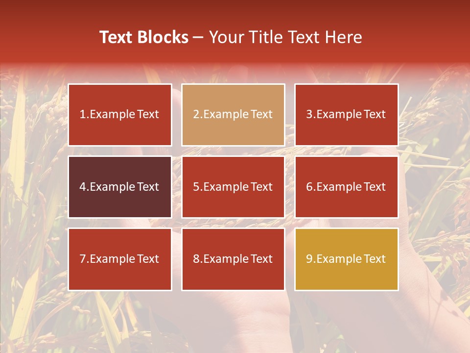Agriculture Staple Harvest PowerPoint Template