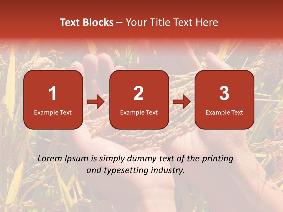 Agriculture Staple Harvest PowerPoint Template