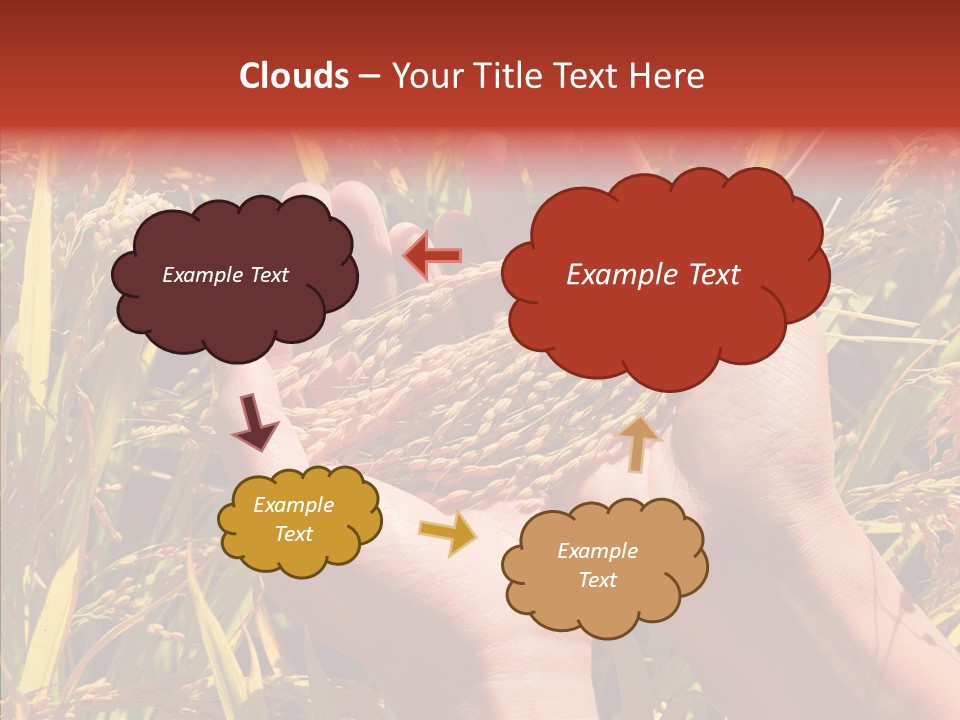 Agriculture Staple Harvest PowerPoint Template
