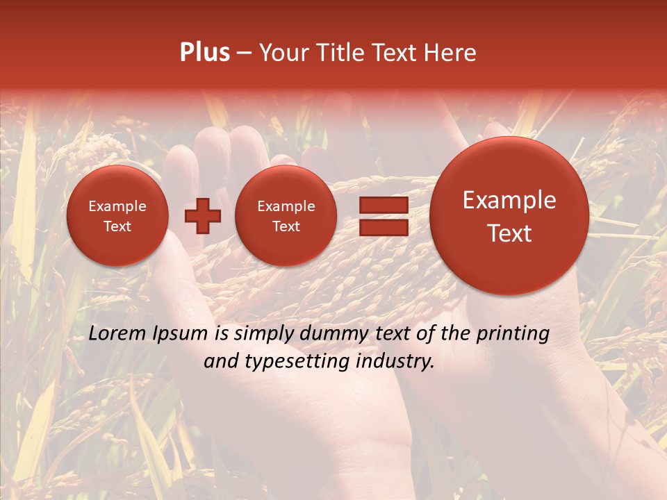 Agriculture Staple Harvest PowerPoint Template