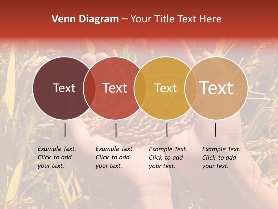 Agriculture Staple Harvest PowerPoint Template