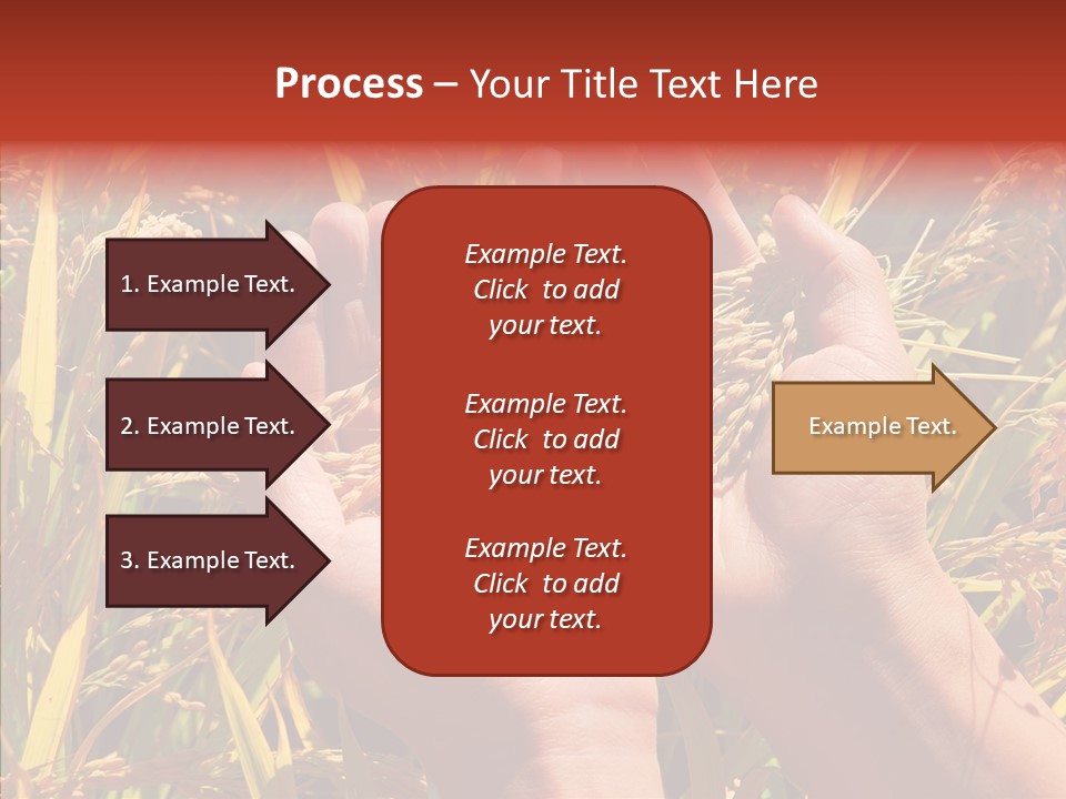 Agriculture Staple Harvest PowerPoint Template