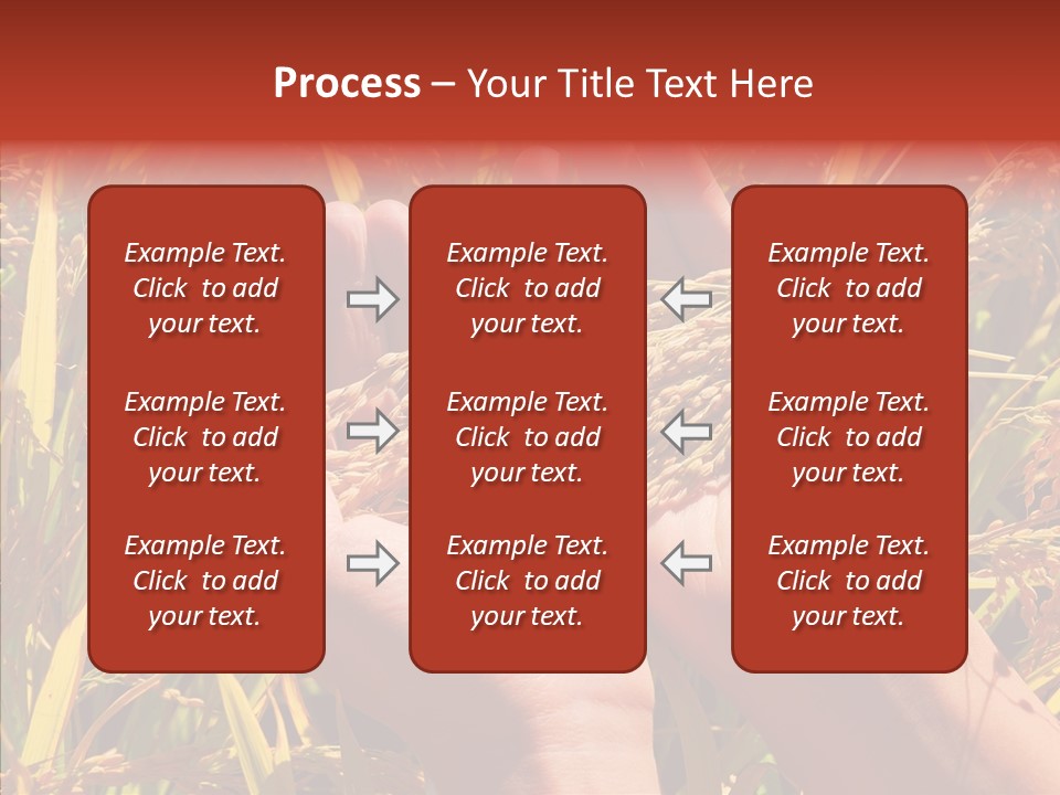 Agriculture Staple Harvest PowerPoint Template