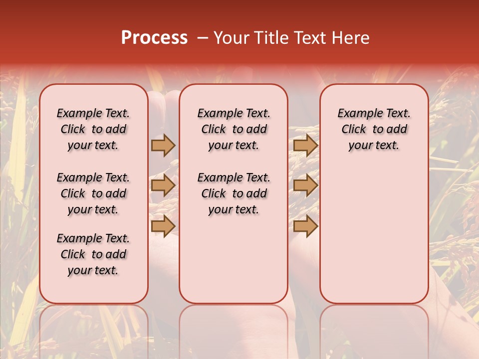 Agriculture Staple Harvest PowerPoint Template