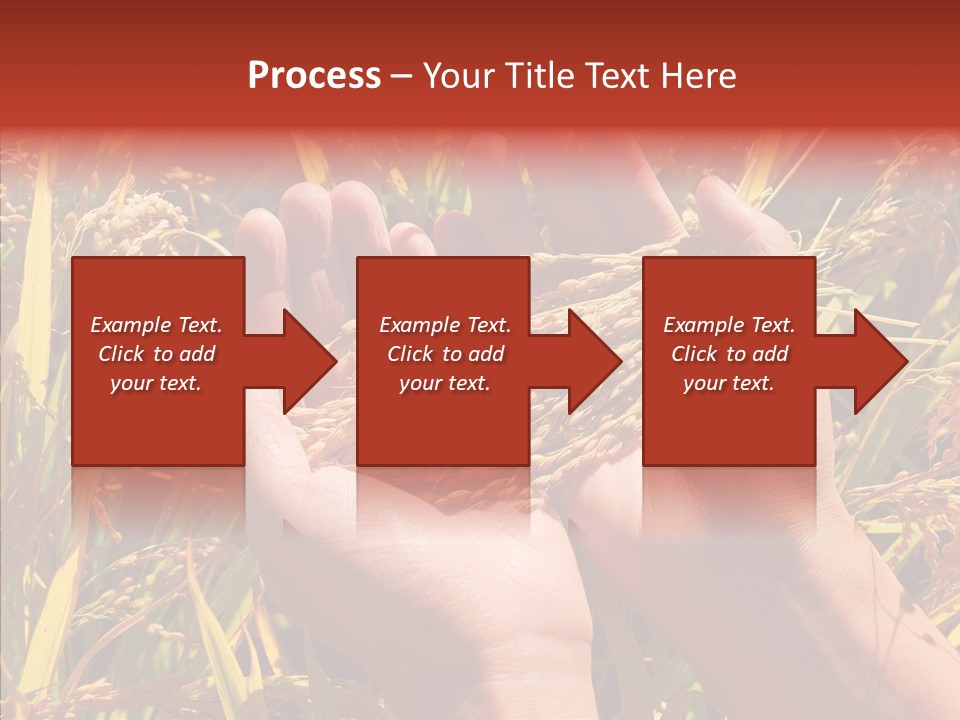 Agriculture Staple Harvest PowerPoint Template