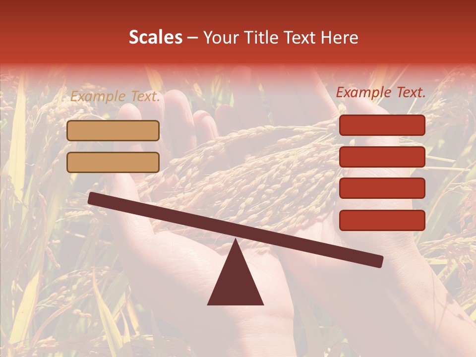 Agriculture Staple Harvest PowerPoint Template
