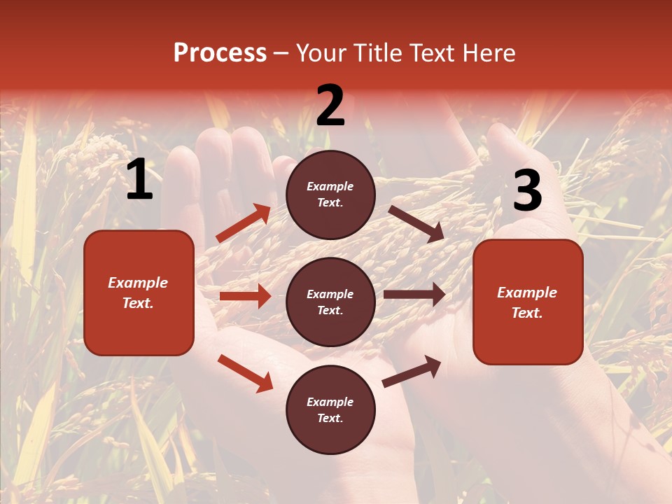 Agriculture Staple Harvest PowerPoint Template