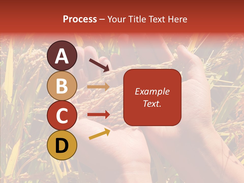 Agriculture Staple Harvest PowerPoint Template
