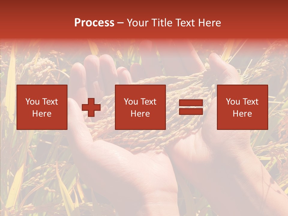 Agriculture Staple Harvest PowerPoint Template