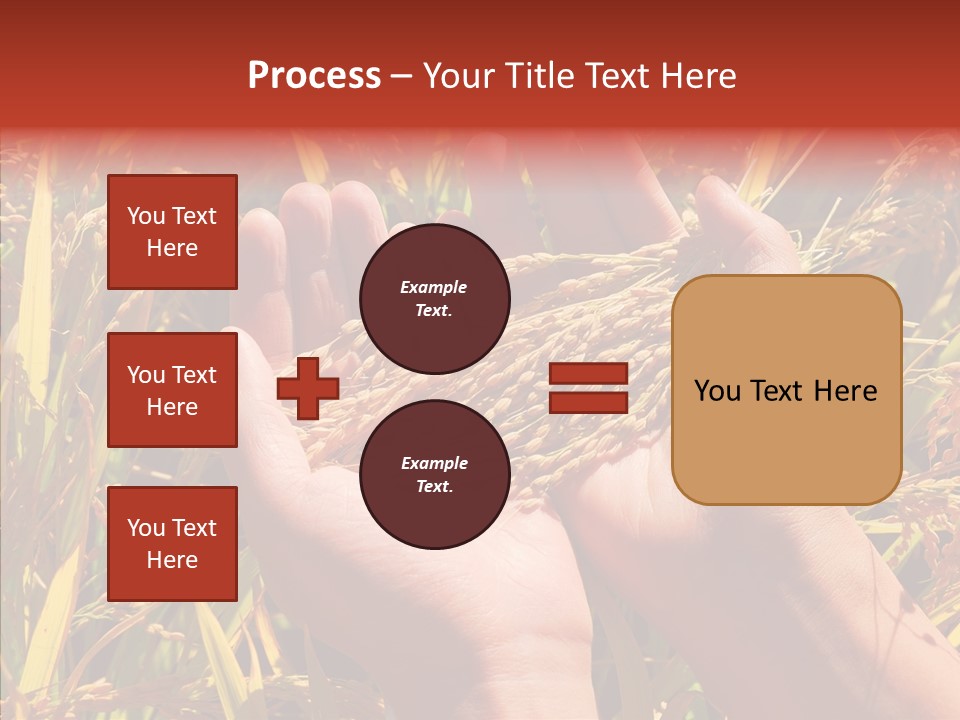 Agriculture Staple Harvest PowerPoint Template