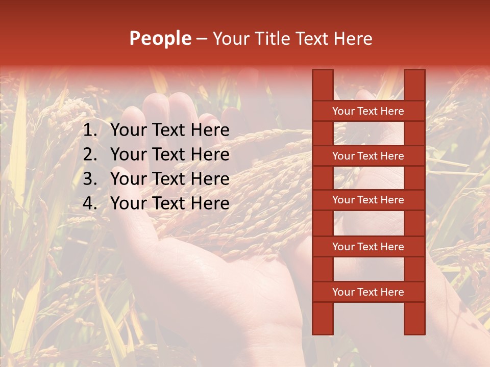 Agriculture Staple Harvest PowerPoint Template