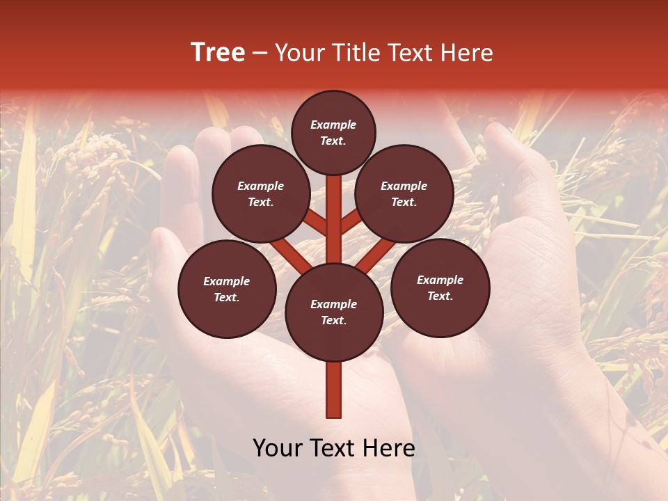 Agriculture Staple Harvest PowerPoint Template