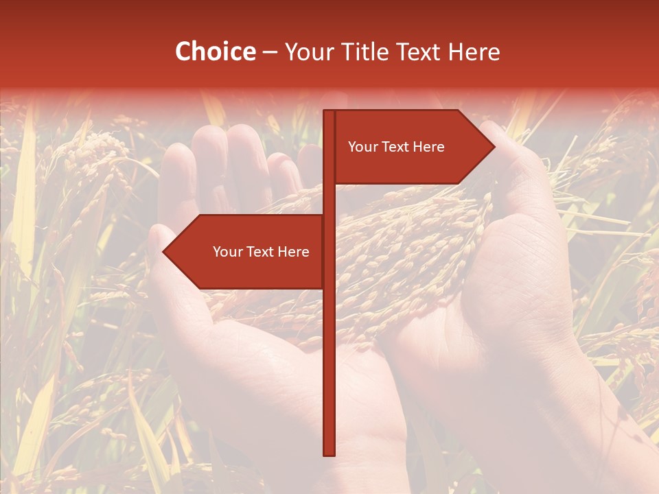 Agriculture Staple Harvest PowerPoint Template