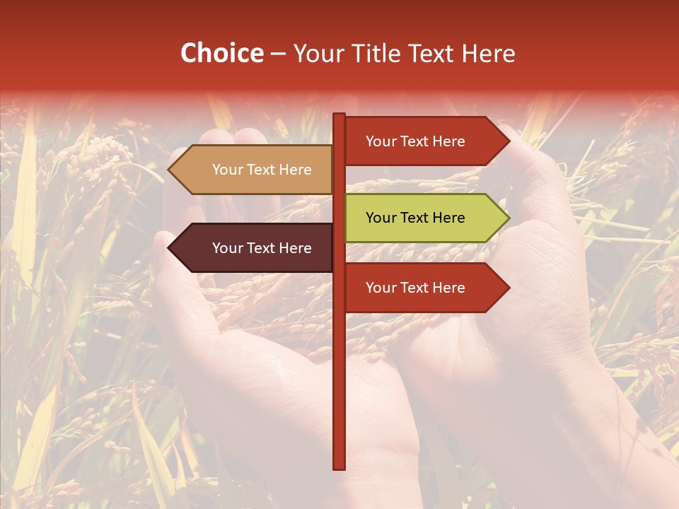 Agriculture Staple Harvest PowerPoint Template