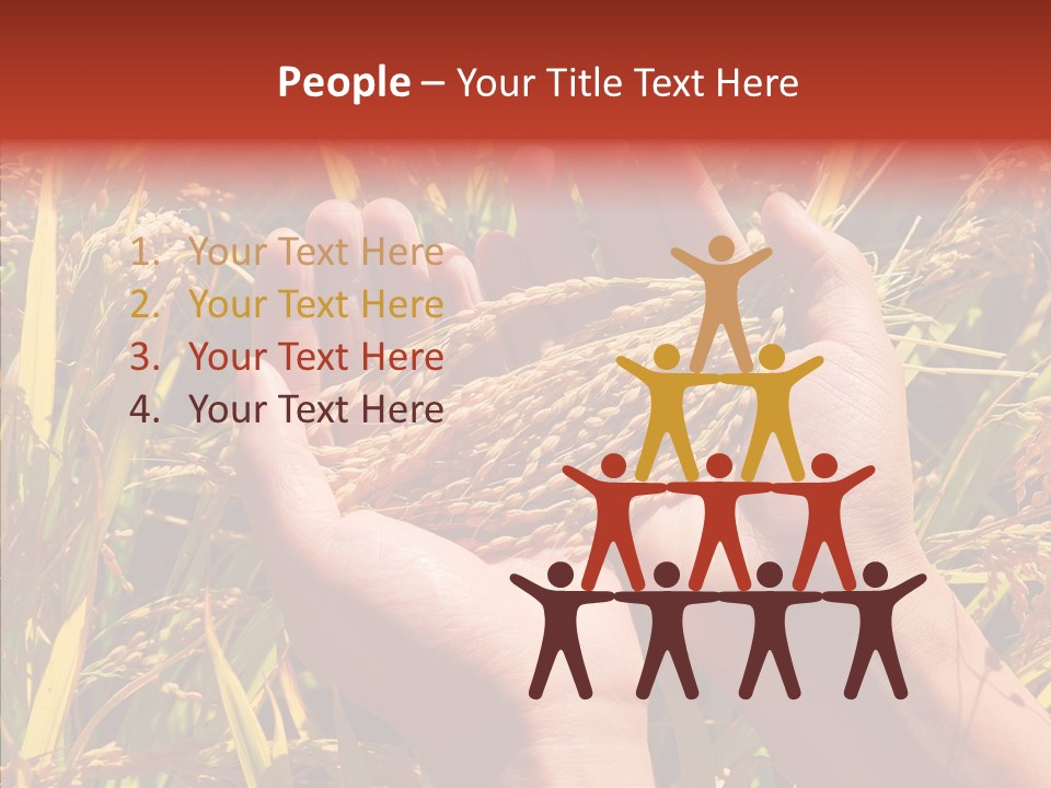 Agriculture Staple Harvest PowerPoint Template