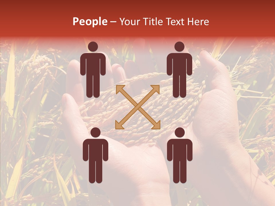 Agriculture Staple Harvest PowerPoint Template