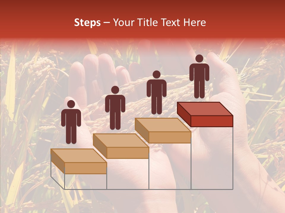 Agriculture Staple Harvest PowerPoint Template