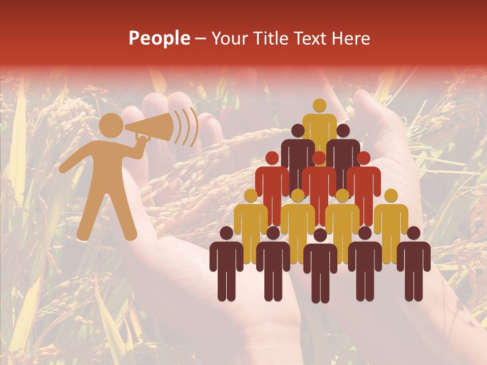 Agriculture Staple Harvest PowerPoint Template