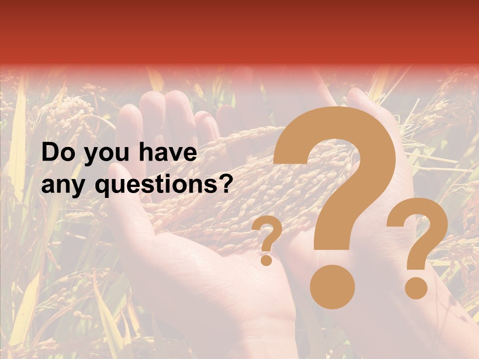 Agriculture Staple Harvest PowerPoint Template