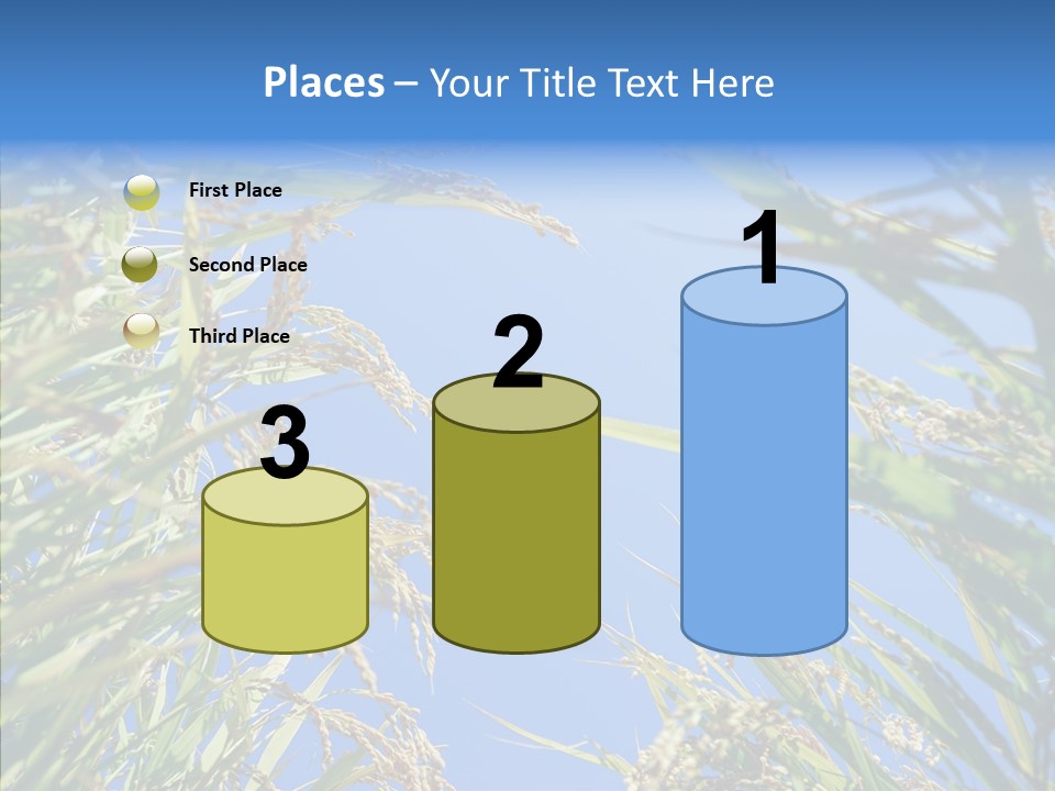 Yellow Harvesting Vegetarian PowerPoint Template
