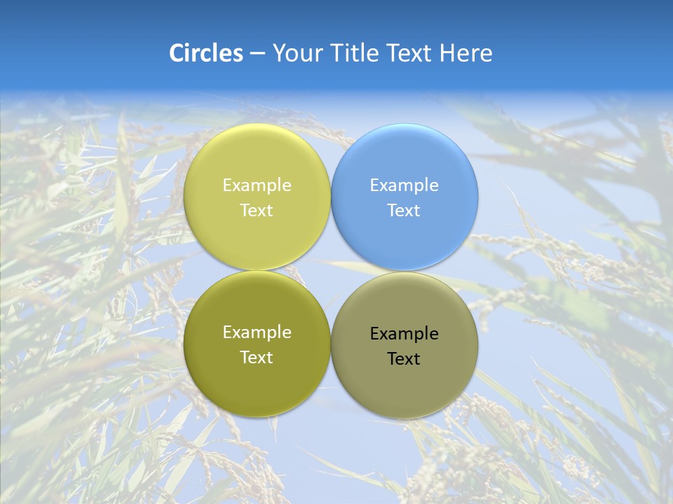 Yellow Harvesting Vegetarian PowerPoint Template