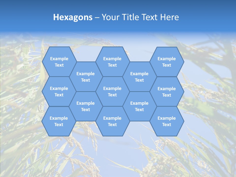 Yellow Harvesting Vegetarian PowerPoint Template