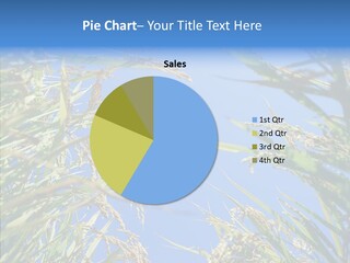 Yellow Harvesting Vegetarian PowerPoint Template