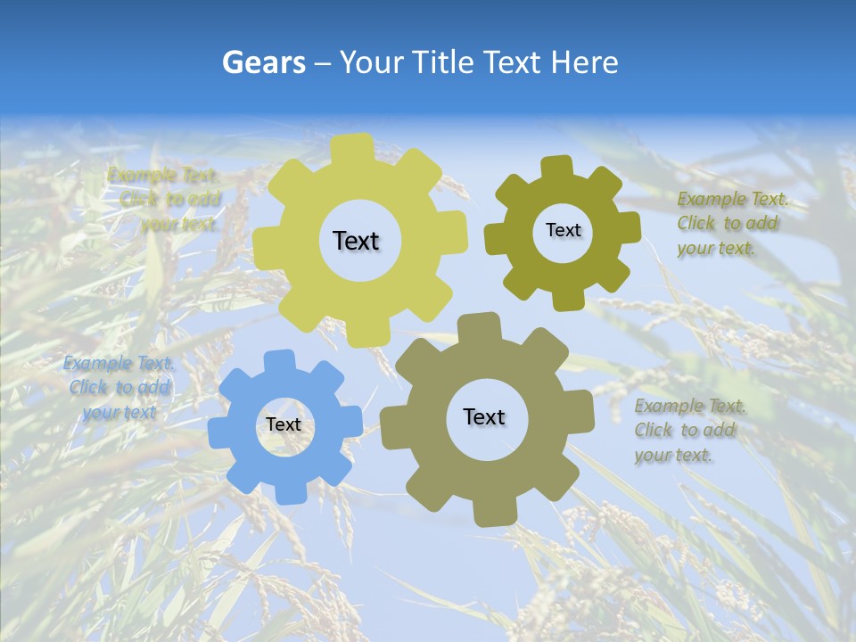 Yellow Harvesting Vegetarian PowerPoint Template