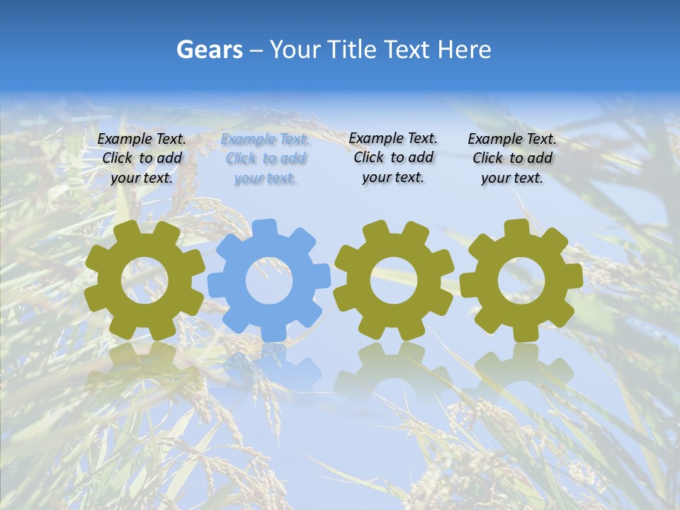 Yellow Harvesting Vegetarian PowerPoint Template