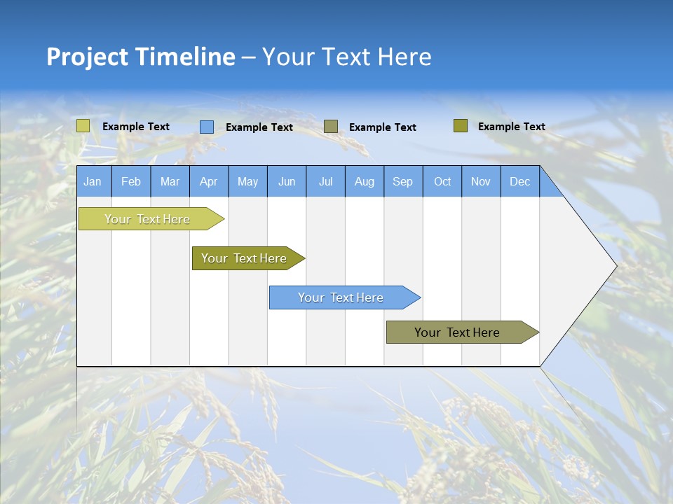 Yellow Harvesting Vegetarian PowerPoint Template