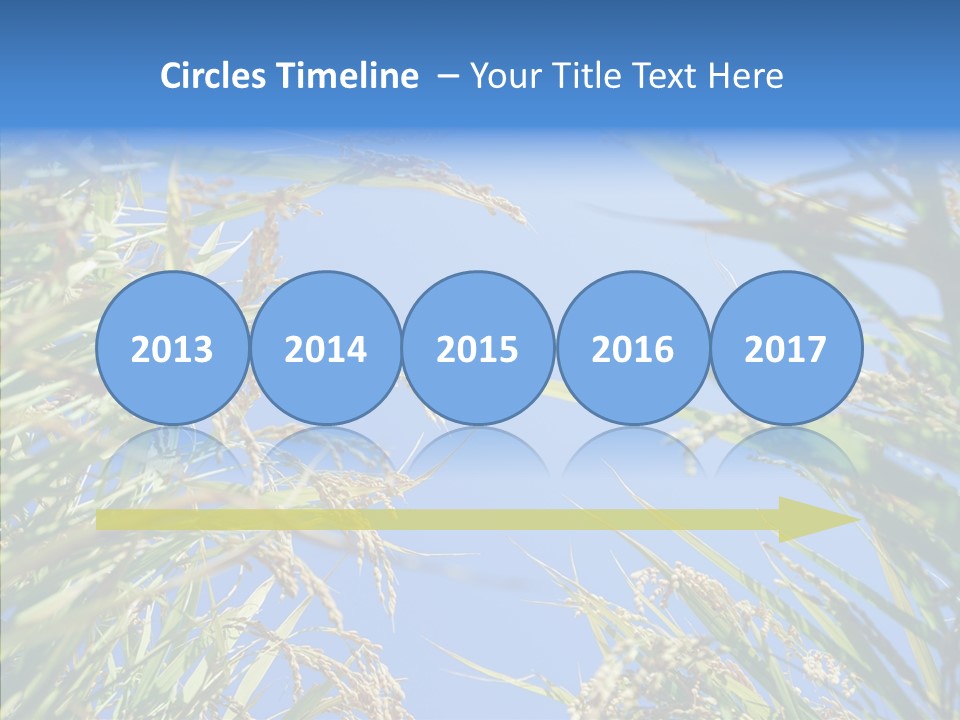 Yellow Harvesting Vegetarian PowerPoint Template