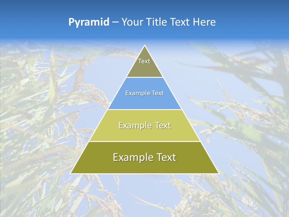 Yellow Harvesting Vegetarian PowerPoint Template